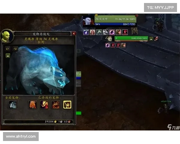 魔兽世界大脚揭秘：精准显示怪物血量的终极技巧